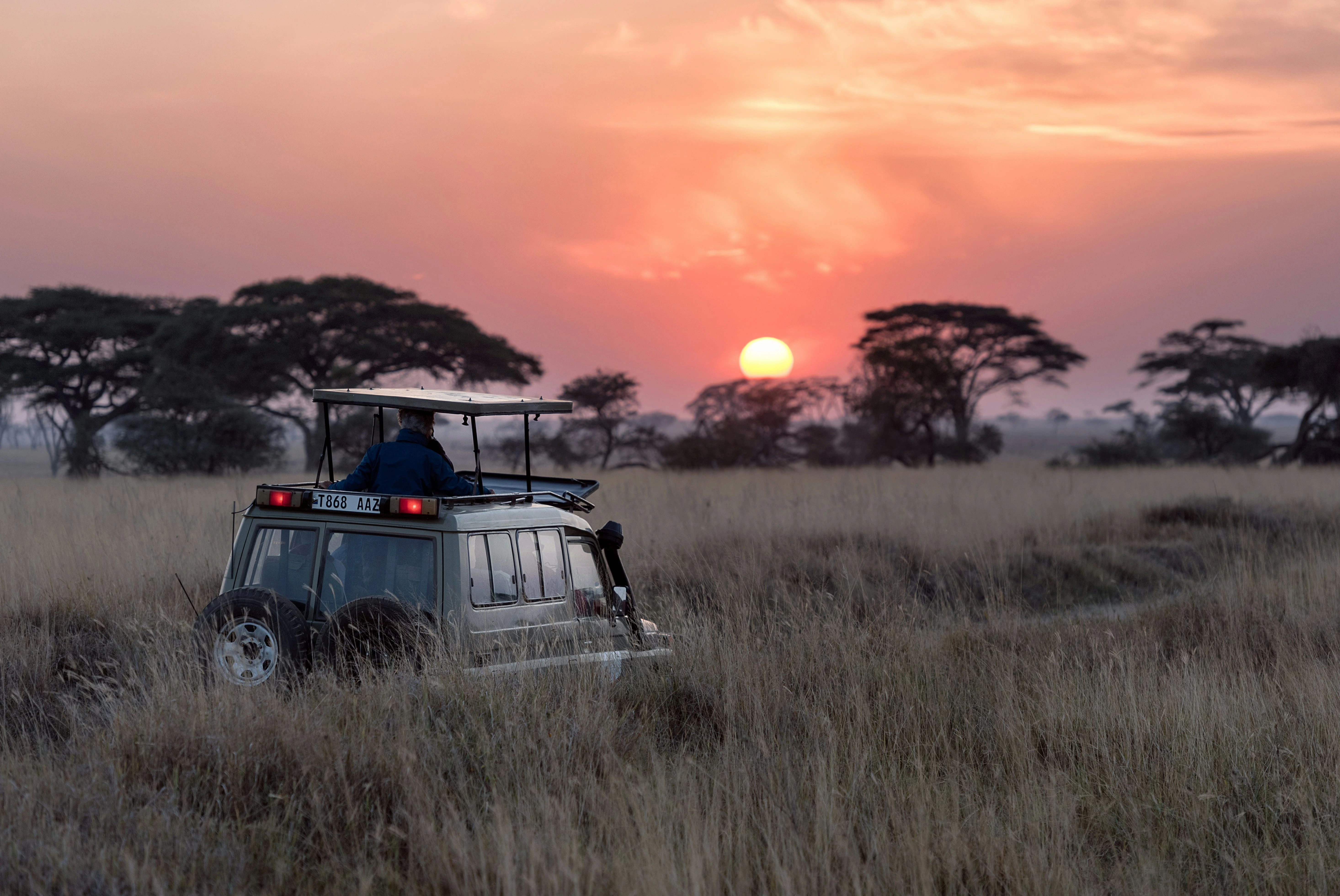 Masai Mara Safari